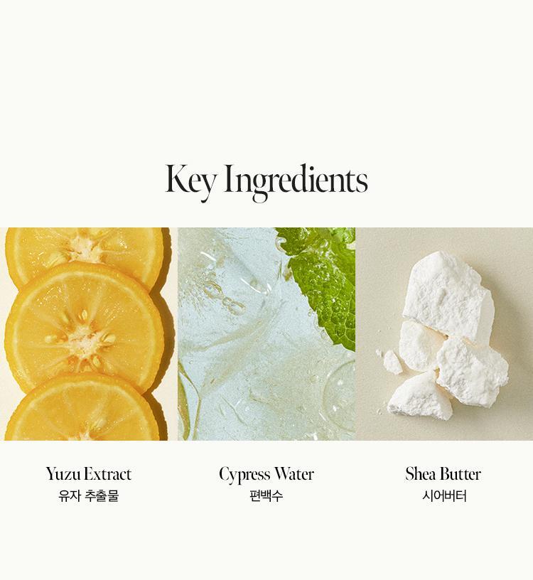 [Gift] 아닐로 엠버528 센티드 핸드크림 50ml 상세페이지 11